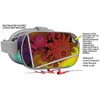 Decal Style Skin Wrap Compatible with Oculus Go Headset -