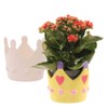 Baker Ross Coronation Crown Ceramic Flowerpots - Pack of 2,