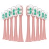 CILGEWH Replacement Toothbrush Heads 10 Pack for AquaSonic icon Electric