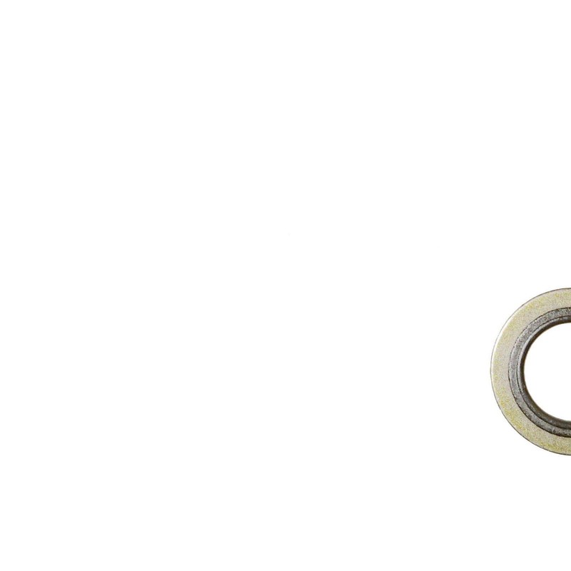 Seapple 4Pcs Seals Washer Fit M16 Banjo Bolt Tube 24V