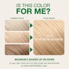 Naturigin Permanent Hair Color, Platinum Blonde by Naturigin