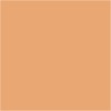 Stylefile Marker Potato Brown (210)