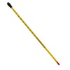 12" Laboratory Thermometer
