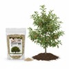 Old Cobblers Farm™ Wicked Growth Apple Tree Fertilizer - Boost