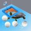 Square Turtle Feeding Ring with Suction Cup and 4 Pcs