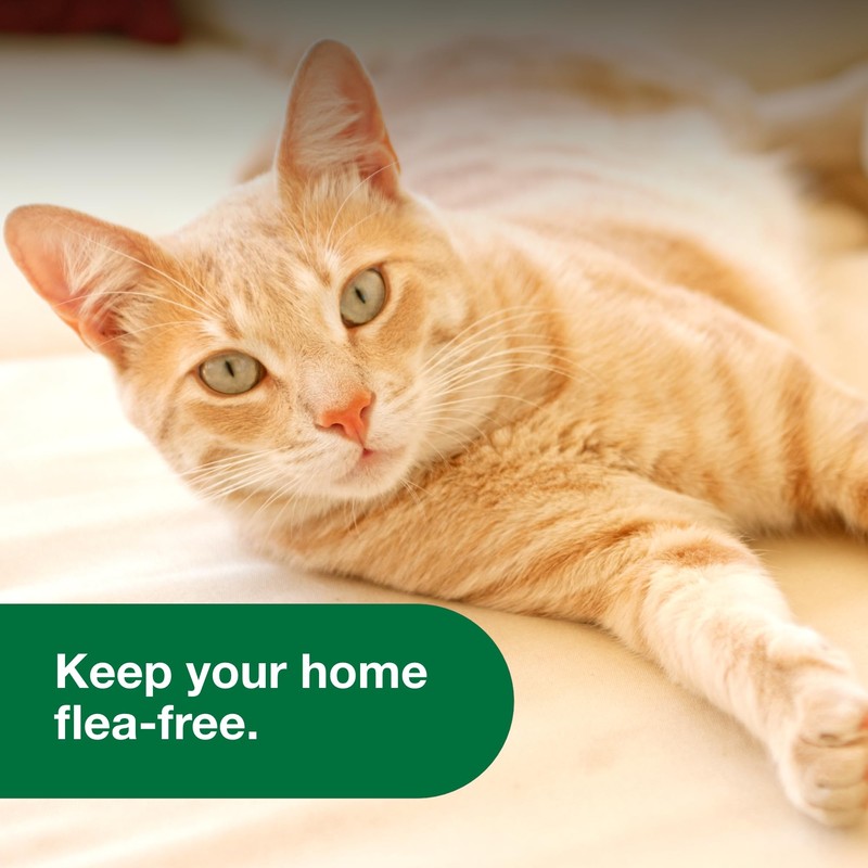 Advantage Household Spot & Crevice Spray | Kills Fleas &