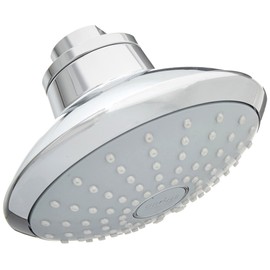 Euphoria 110 Mono 1-Spray Showerhead
