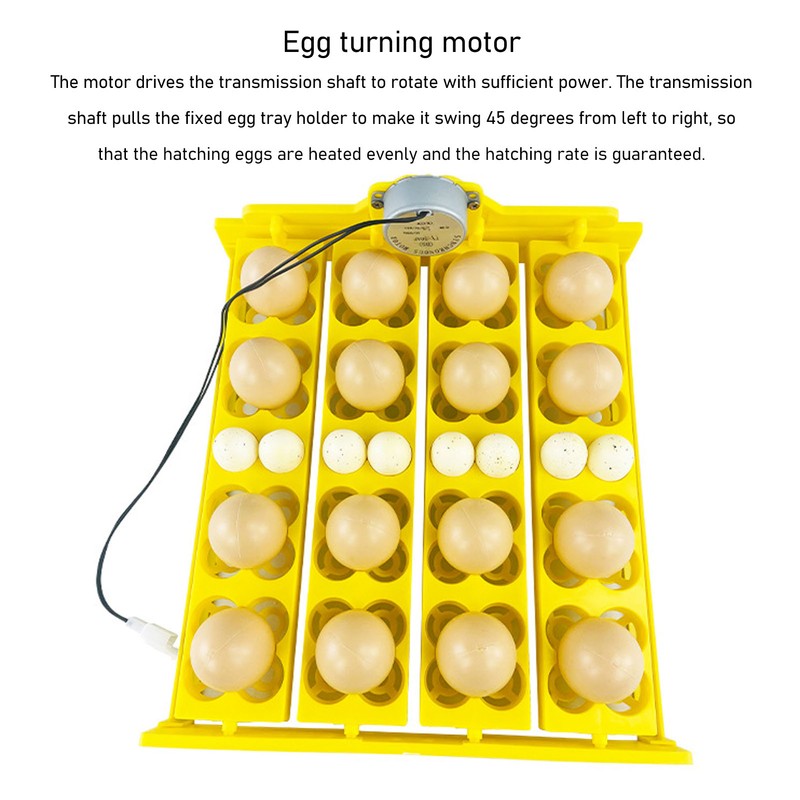 Egg Turning Tray Multifunction Automatic Egg Turner Incubator Tray for