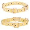 Adorable Yellow Daisy Pattern Dog Collar with Gold Buckle -