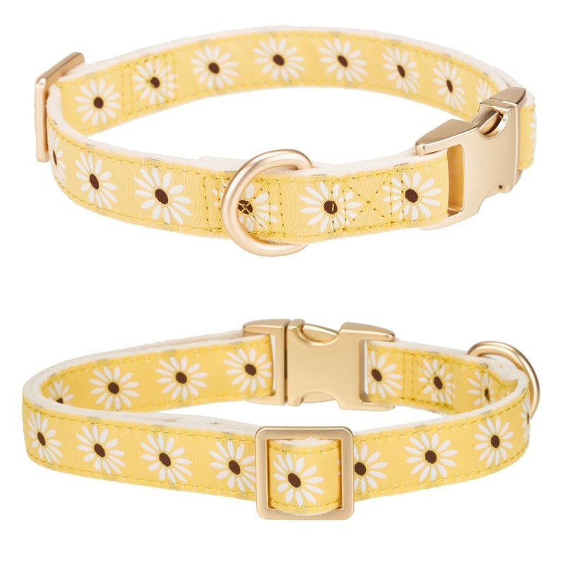Adorable Yellow Daisy Pattern Dog Collar with Gold Buckle -