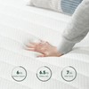 Z-hom Queen Mattresses, 10 Inch Queen Memory Foam and Spring