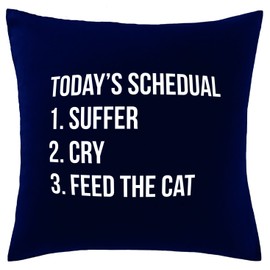 Hippowarehouse Today's schedule Printed bedroom accessory cushion cover case 41x41cm