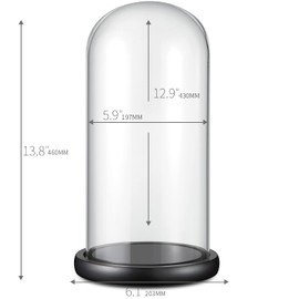 13"x 6" Glass Display Dome Cloche with Black Wood Base for Gold Rose Display, Antique Collectibles,Figurine,Decorative Showcase Display