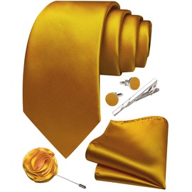 Ailisus Dark Gold Ties for Men Silk Satin Necktie and Pocket Square Cufflinks Tie Clip Lapel Pin Set Wedding Business 5PCS