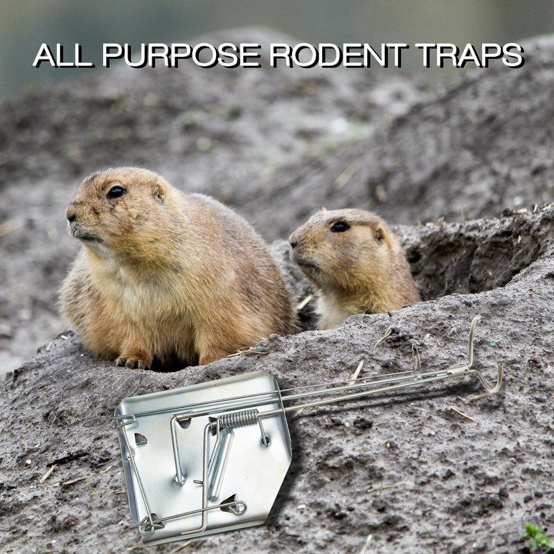 Qualirey 8 Pack Mole Gopher Trap Ground Galvanized and Oil