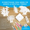 NATIONAL GEOGRAPHIC Craft Kits for Kids - Crystal Growing Kit