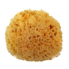 Spa Destinations Natural Sea Wool Sponge 5-6" Natural Renewable Resource Bath & Shower