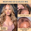 Highlight Human Hair Wig Pre Cut 6x4 Transparent hd Lace