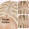 Fancy Hair Full Lace Braided Wigs for Black Women Knotless