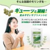 業務用 毎日モリンガ粒 270粒 約3ヶ月分 サプリメント 健康 健康サプリ 美容サプリ RoyalBS