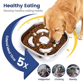 PETTOM Slow Feeder Dog Bowl, Stainless Steel Dog Bowls to Slow Down Eating, Puzzle Feeders for Dogs Puppys Stop Bloat Anti Gulping Healthy Eating