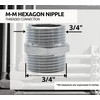 DOJA Barcelona | Double Nipple Chrome-Plated | Connector Male Thread