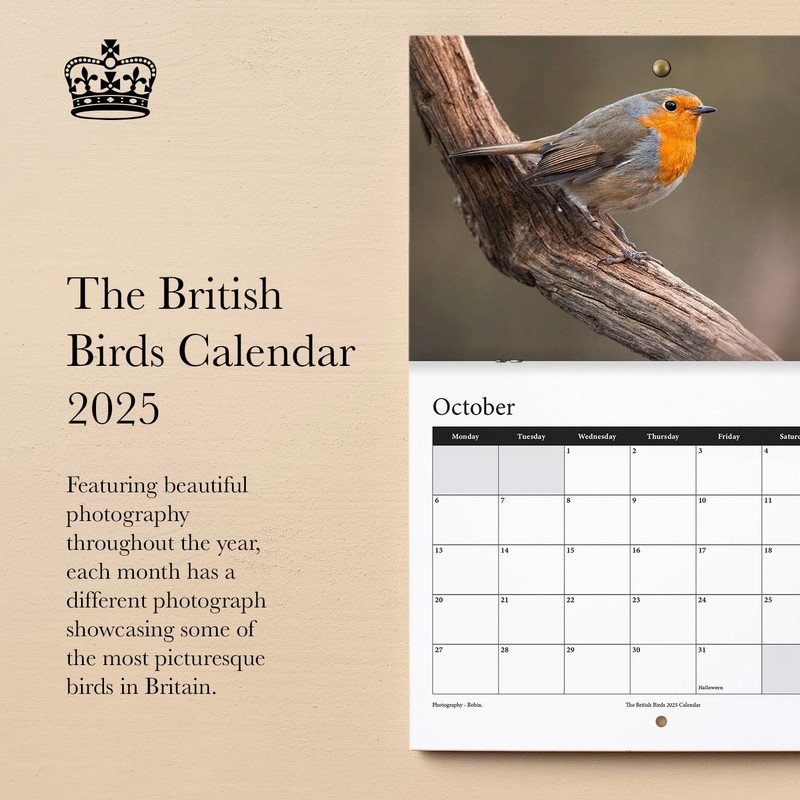 2025 British Birds Wall Calendar Featuring Stunning Photography of Birds