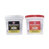 J-B Weld 40007 Wood Restore Premium Epoxy Putty Kit -