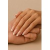 Greyson Michael Collection Lustrous Classic French Nail Tips, Natural, Semi-Transparent,