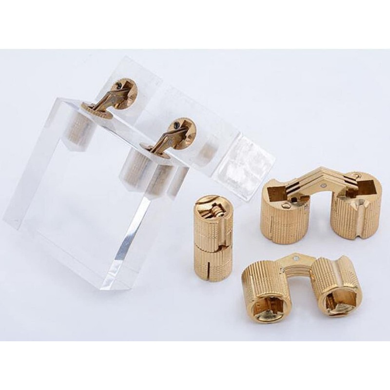 MIAO JIN 12 Pcs 16mm Brass Barrel Hinges Hidden Invisible