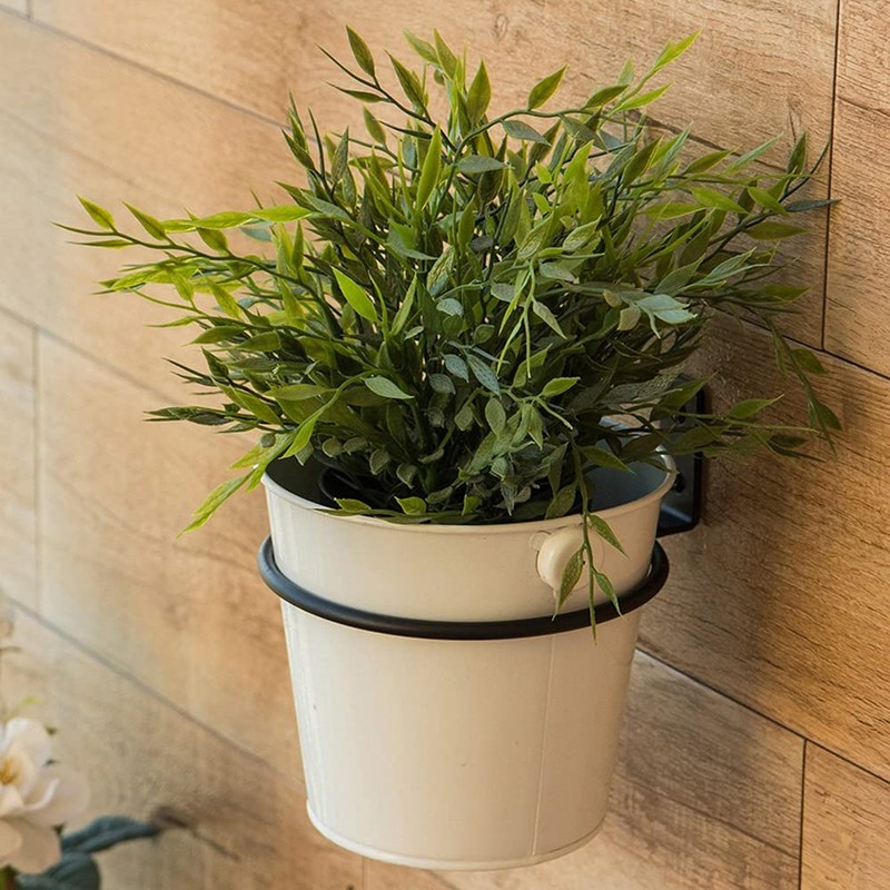 Plant Holder Ring 8 Inch Wall Mounted, 6 Pack Flower