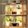Mosthink 6.3" Ceiling Grow Lights for Indoor Plants, 144 LEDs