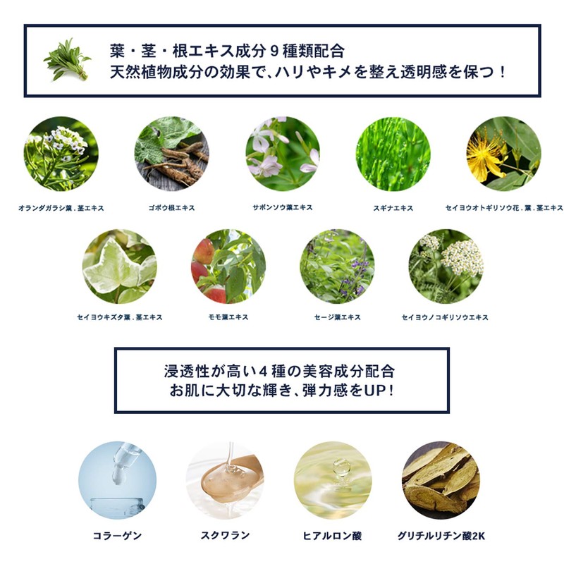 Men's BB Cream Concealer Foundation Doctor Chronos