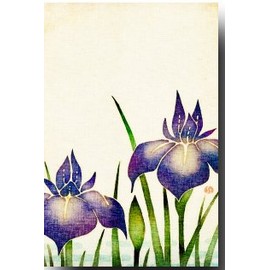 和風イラスト ポストカード 染絵風 「しょうぶ」 和柄絵葉書 和道楽
