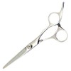 Doolims Professional Luxury Hair Cutting Household Hair Thinning Scissors Set Black 1 Set / 두림스 전문 고급 미용 실 컷트 가정 용 헤어 숱 가위 세트 블랙 1세트