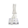 Science Resource E08210 Loose Foot Ankle Skeleton | Fully Articulated,
