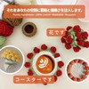 chuxinmy Amimono Kit (Detailed Japanese Tutorial Video Included) Crochet Kit