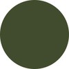 Preanfa PGU-M322 Color Gel Moss Green 322 0.1 oz (3