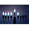 The Dreidel Company Menorah Bulbs, 10 Blue and White Electric