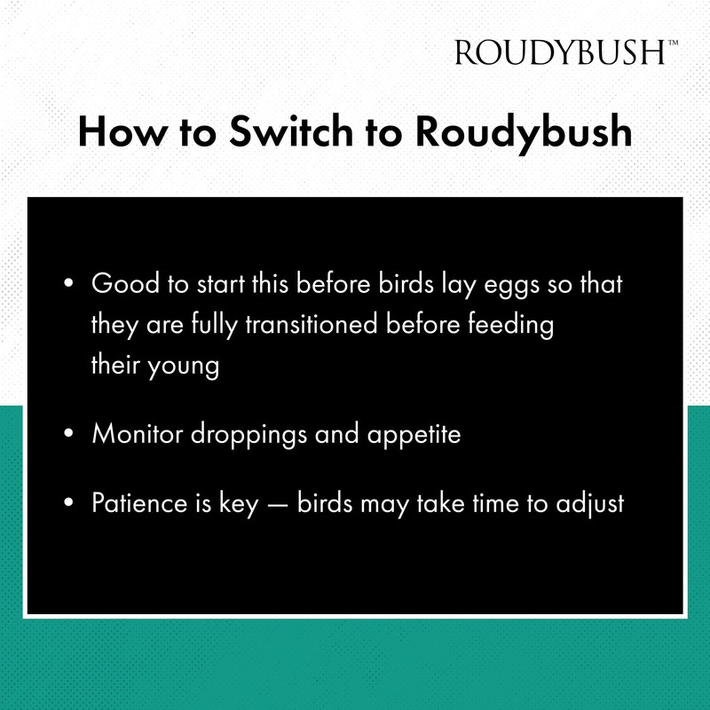 Roudybush Low Fat Food for Adult Birds & Chicks -