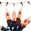 10ft Flickering Flame String Lights Outdoor Indoor, C18/C7 Candlelight Bulb,Retro