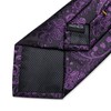 DiBanGu Silk Paisley Ties for Men Woven Necktie and Pocket