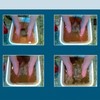 Desintoxicación de Baño de Pies Iónicos, 10 Matrices Redondas de
