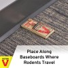 Victor M040 Metal Pedal Mouse Traps ( 24 Pack) Victor