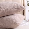 Reafort New Ultra Soft Sherpa Pillowcases Pillow Covers Standard Size