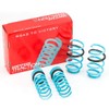 Godspeed LS-TS-FD-0005 Traction-S Performance Lowering Springs For Ford Focus ST