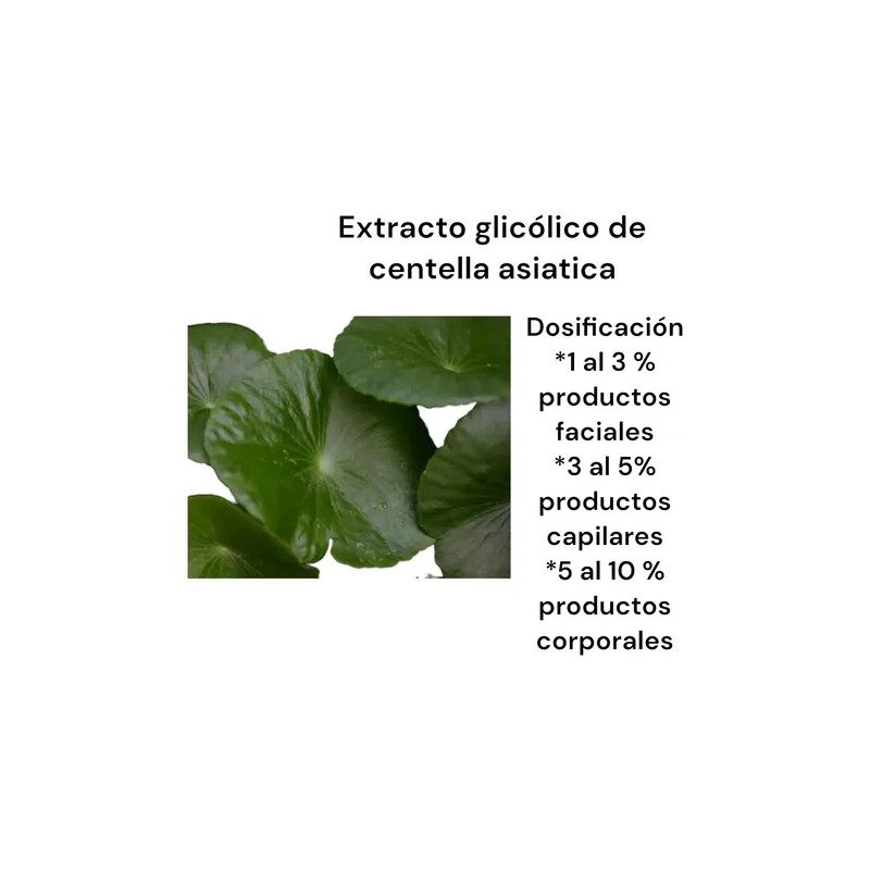 Extracto Glicolico Centella Asiatica Uso Cosmetico De 120 Ml