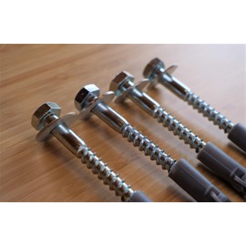 SpeedwellStar M10x100x5 Coach Bolt Screw Zinc Plated Wood Masonry Rawlplug Washer Hex Head Fixing 4 x 100mm Rawl plug (4)