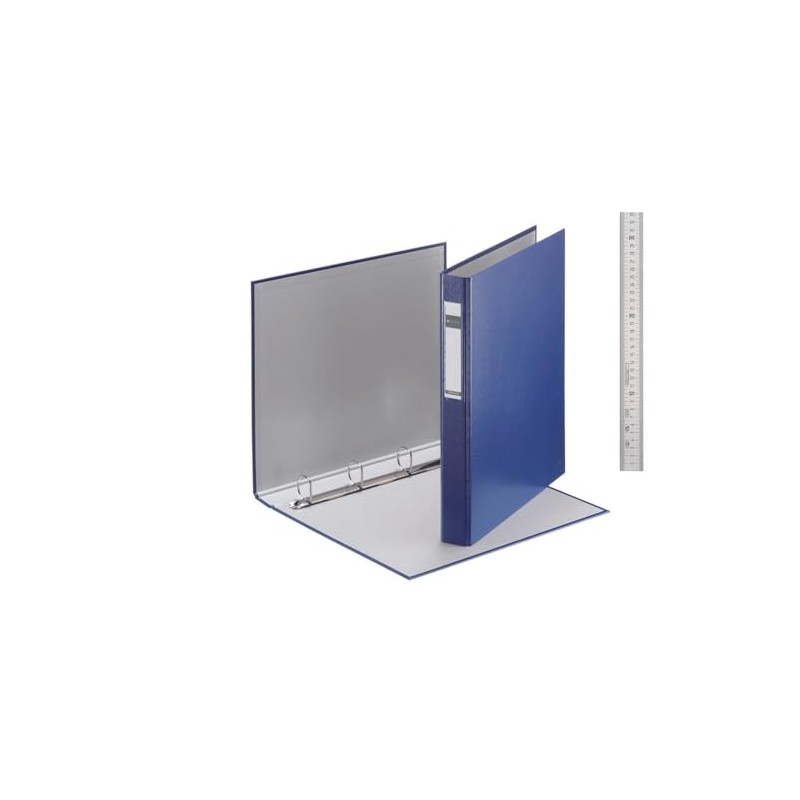 Leitz 42120035 Ringbuch Standard, A4, PP, 4 Ringe, 25 mm,