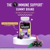 Airborne Elderberry + Zinc & Vitamin C Gummies For Adults,